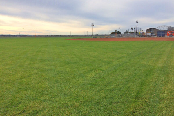 sod-gallery-baseball-field